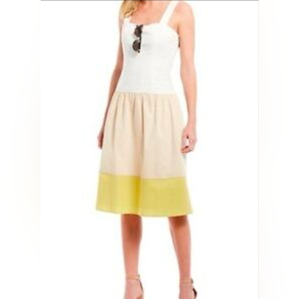 ✨ Daniel Cremieux Sleeveless Midi Dress (Size 6) ✨